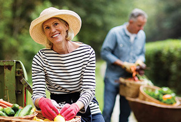 An older couple spending time together gardening